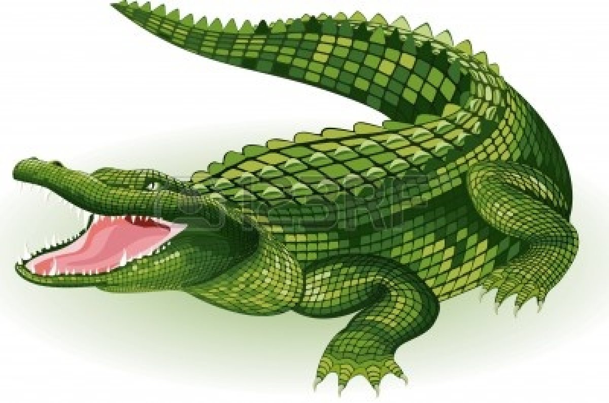 Mkazi-ng’ona (The crocodile woman)
